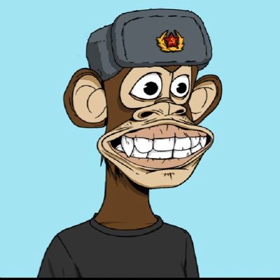 tradinghelp11's profile picture. The earliest investor. RTFKT owner (5). Proud @BoredApeYC owner #2689 🍌 Long on @metatigr