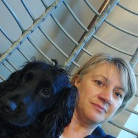 Sue Armstrong💙 (@crm_suarmstrong) Twitter profile photo
