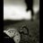 FatmaParmaksz's profile image