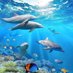 VIZAG For ALL (@shark_mendy) Twitter profile photo VIZAG For ALL (@shark_mendy) Twitter profile photo
