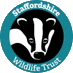 StaffsWildlife 🦔🍄🦇 (@staffswildlife) Twitter profile photo StaffsWildlife 🦔🍄🦇 (@staffswildlife) Twitter profile photo