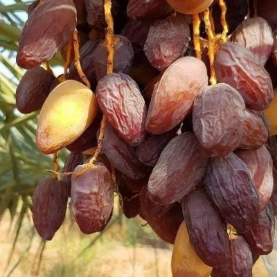 waqasch94524211's profile picture. 