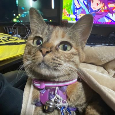うりりんさんのプロフィール画像