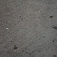 A D A N A (@adana1010) 's Twitter Profile