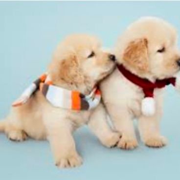 Advance49216287's profile picture. blaๆๆๆๆๆ