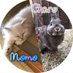 飼い主くんとチャロモモ (@charo_and_momo) Twitter profile photo 飼い主くんとチャロモモ (@charo_and_momo) Twitter profile photo