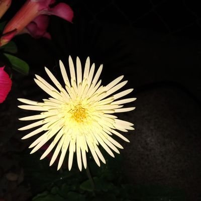 _k_a_o_c_'s profile picture. ...✍️🎨🖌️