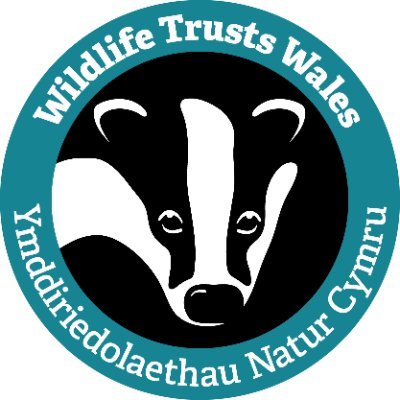 Protecting wildlife for the future & linking the 5 @WildlifeTrusts in Wales 🌳 Gwarchod natur ar gyfer y dyfodol a chysylltu'r 5 Ymddiredolaeth Natur Cymru 🐝