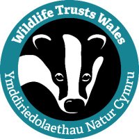 Wildlife Trusts Wales(@WTWales) 's Twitter Profile Photo