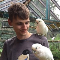 J Zewald (@zewaldj) 's Twitter Profile Photo J Zewald (@zewaldj) 's Twitter Profile Photo