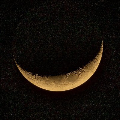 tnt_wnc's profile picture. 