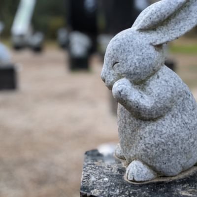 lj6vvc's profile picture. データ分析エンジニアが性にあってそうな社会人/バスケ中の視線データの分析/
Unity4年/python3年/筋トレ４年