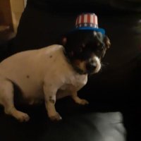 4th of July baby(@MnmsurfinLang) 's Twitter Profile Photo