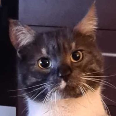 Remecze's profile picture. 