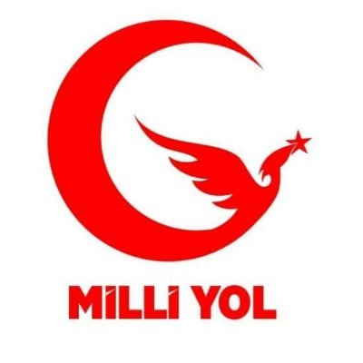 Milliyol07