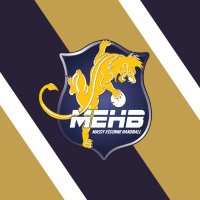 Massy Essonne Handball (@mehb_officiel) 's Twitter Profile