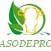 ASOCIACION DE PRODUCCION, EN BUSCA DE MEJORES DIAS PARA EL SECTOR AGROPECUARIO. 
POR UN MUNDO DONDE SE RESPETE Y VALORE LA AGRICULTURA.