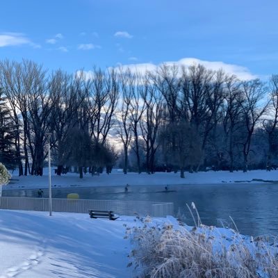 remi_purguette's profile picture. 