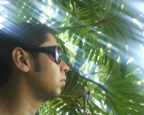 Celebre a Vida Cultive a Paz!!!