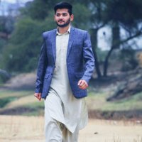 Muhammad Shayan (@muhamma28581055) 's Twitter Profile