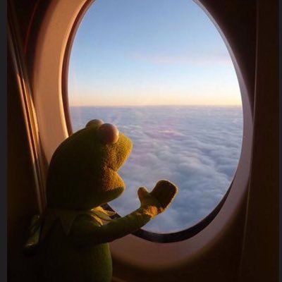 ElifNihalHur's profile picture. Tokatlı ama çemen değil