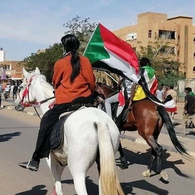 ElbasheerHowida's profile picture. 