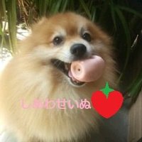 道楽檸檬(新婚デレえもん)4月19日お披露目 (@nobukun9) 's Twitter Profile