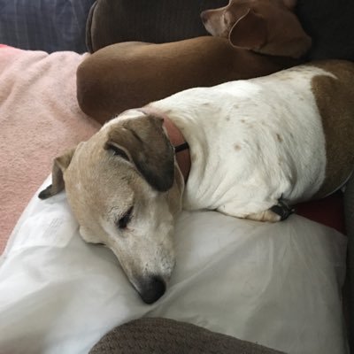 BeverlyRWilson1's profile picture. 