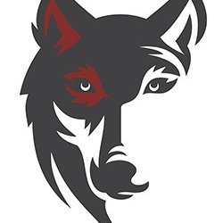 Red Wolf Reliability is one of the leading experts in reliability engineering, vibration analysis and training. Check out our website and contact us today!