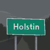 Holstin