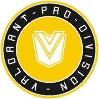 VALORANT PRO Division (@vpdgg) Twitter profile photo