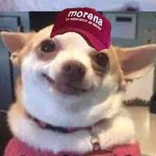 Soy un perrito empoderado a favor de la #4taTransformación