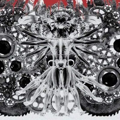 ToothNail_Band's profile picture. DFW HEAVY ➖➖ https://t.co/pCtJeCxxNe