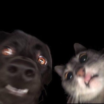 kikkorokko's profile picture. ಥ_ಥ