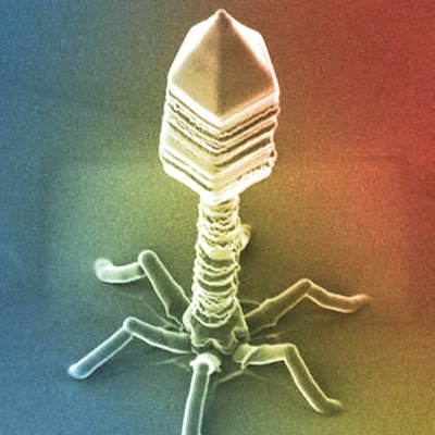VIRIDYNE GENETICS An N/VISNIUM Company. Leaders in Genetically Modified Bacteriophage development.