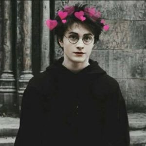I am an ordinary girl who lives in the 21st century. I still think I should have been born into the Harry Potter universe              fan account