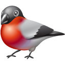 nevinny's profile picture. https://t.co/tCDYm6nqvK