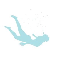 Paradise Excursions (@paradiseex_tc) 's Twitter Profile