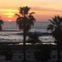 Ramon Flecha (@flechacat) 's Twitter Profile Photo