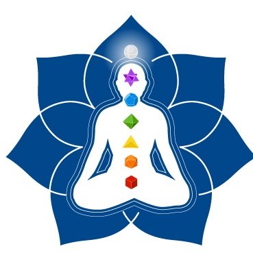 Wise Bodiesology is a wellness care collective specializing in quantum healing meditation technique #QHMT, restorative yoga therapy #RYT, & #PTT.