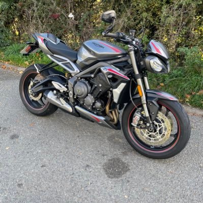Rough Collie HuMum to Dino and Luna, owner of Triumph Street Triple RS.