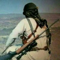 العَـــــــربي (@alarbee01) 's Twitter Profile