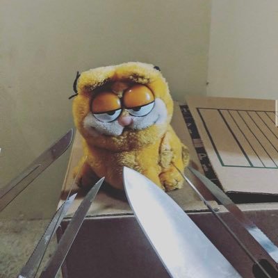 xTigrLily's profile picture. Used to have blue hair and pronouns