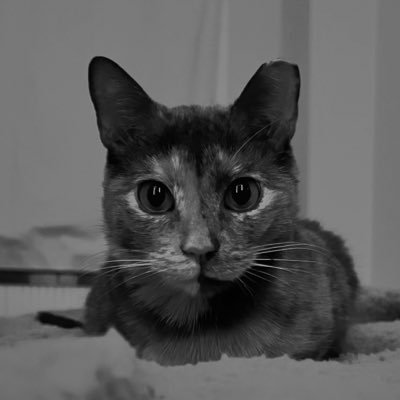 nu99et20's profile picture. 