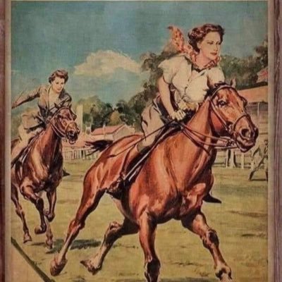 snowys224's profile picture. 