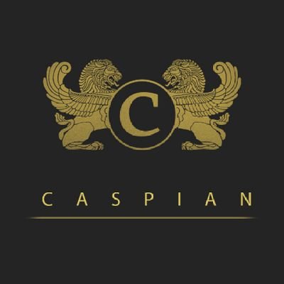 The official CASPIAN Twitter Account.
#CAS #CASF

@Twitter ~ Twitter