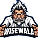 WiseWala, Inc. is a full service digital agency specializing in web design, local SEO, social media management, and even pay per leads.