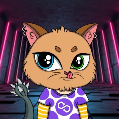 Dixie'Polis is a collection of 5555 unique items on the #Polygon network determined to educating people about what NFT really is : https://t.co/5X9rrAPgZp