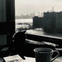 C. del Val (@cdelvalz) 's Twitter Profile