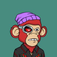 Yacino (@yacineouldchikh) 's Twitter Profile